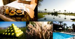 Borrego Springs Resort